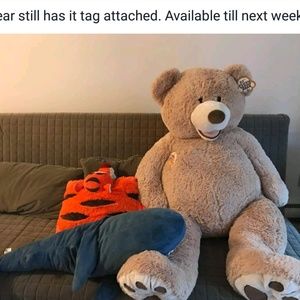 Meet your Posher, Cara